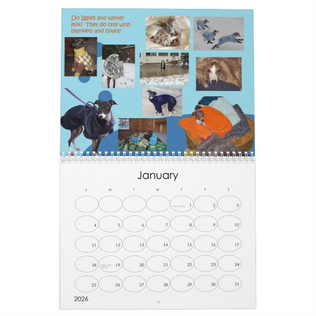 Calendrier 2013 du lévrier italien d'IGWhisper 2 (Jan 2026)