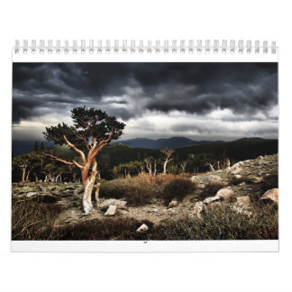 calendrier 2013 par TylerJphoto