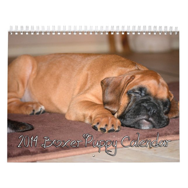 Calendrier 2014 de chiot de boxeur (Protection)