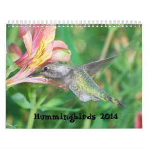 Calendrier 2014 de colibri