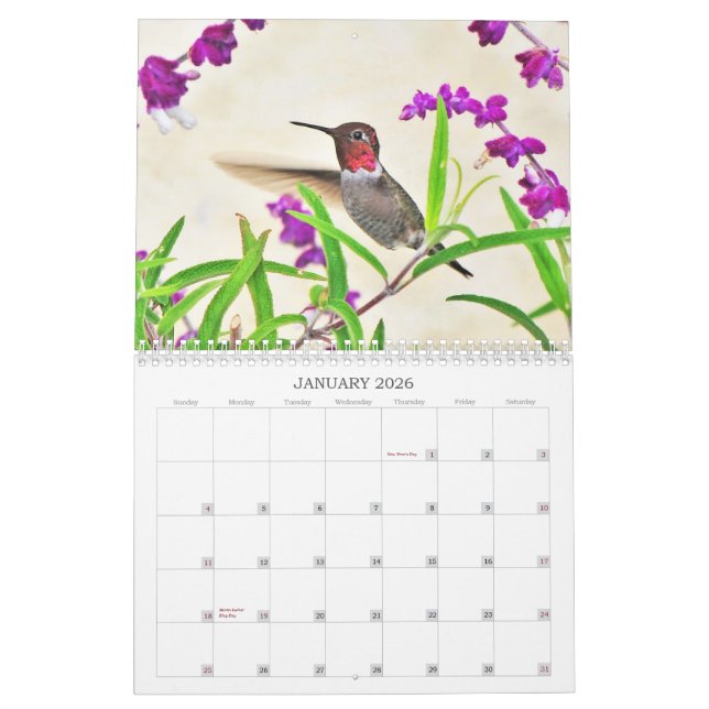Calendrier 2014 de colibri (Jan 2026)