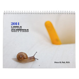 Calendrier 2014 de Little Critters (Moyen)