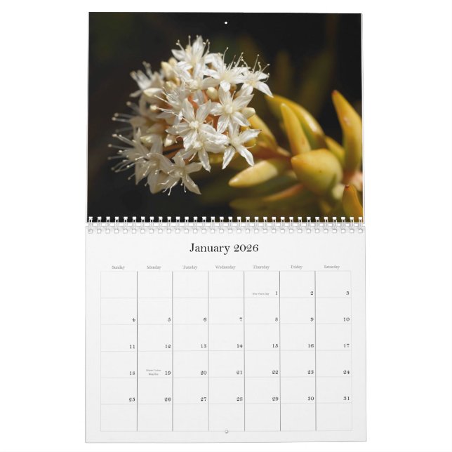 Calendrier 2014 de Little Critters (Moyen) (Jan 2026)