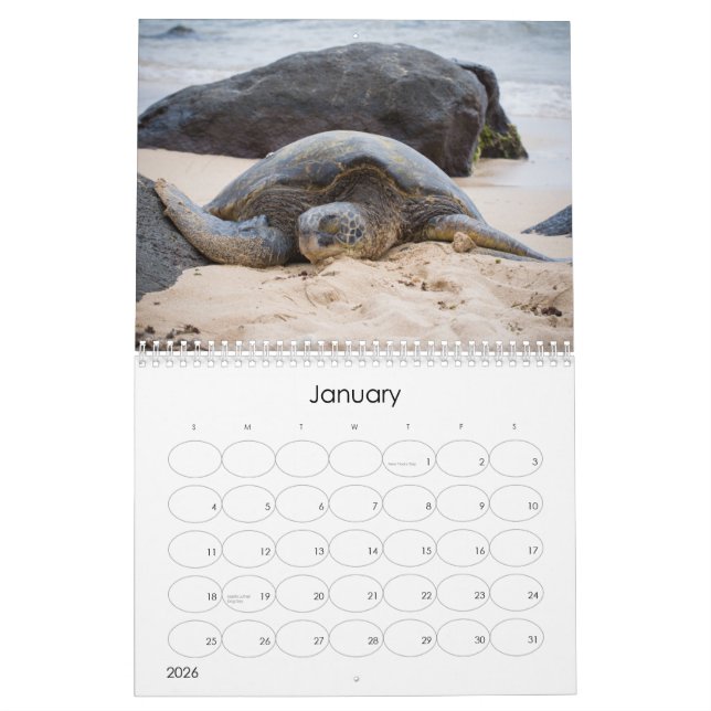 Calendrier 2014 de photographie d'Amy Stonebraker (Jan 2026)