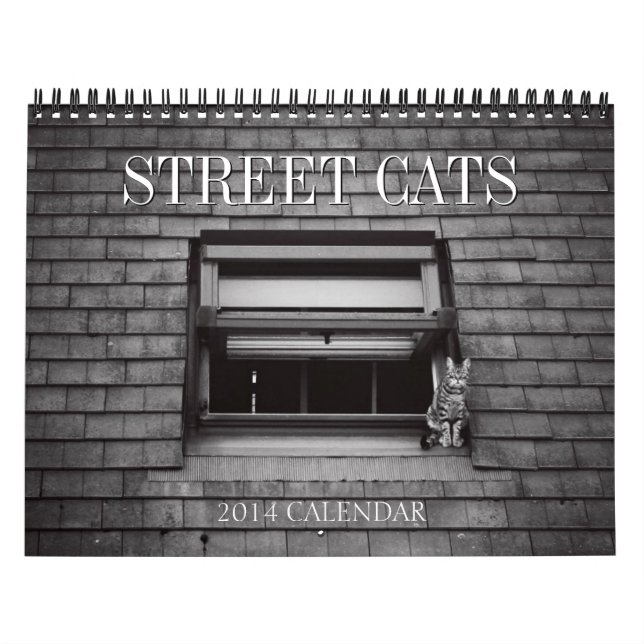 Calendrier 2014 de photographie de chats de rue (Protection)
