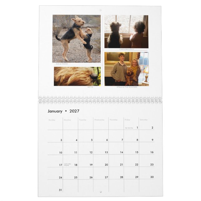 Calendrier 2014 de Shaireabs Bayleigh gallois (Jan 2027)
