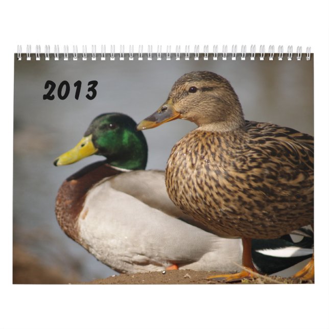 Calendrier 2014 de sportifs de canards de Mallard (Protection)