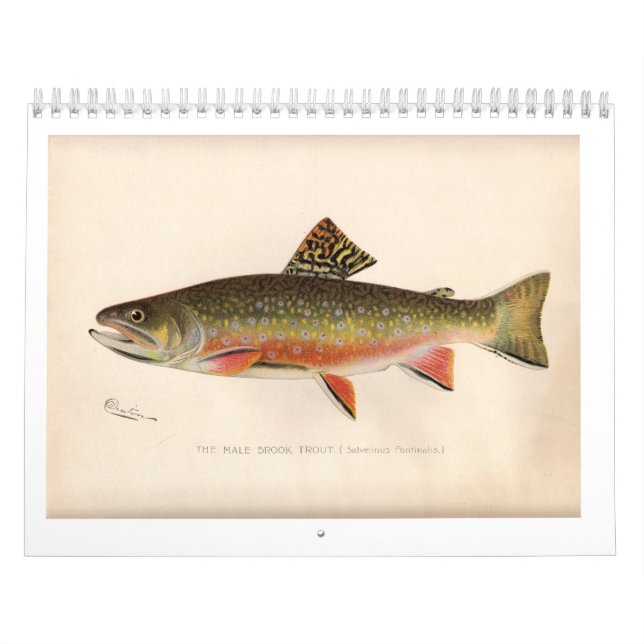Calendrier 2014 de truite de Sherman Denton (Protection)