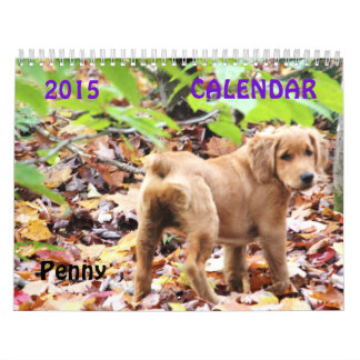 Calendrier 2015 de penny