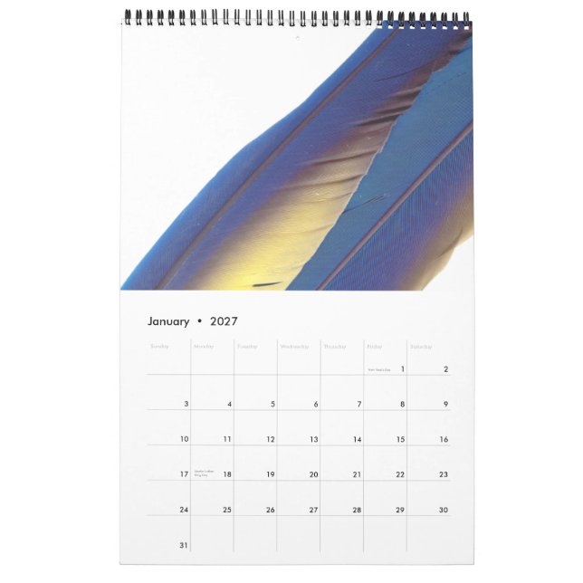 Calendrier 2015 des plumes d'oiseau (Jan 2027)