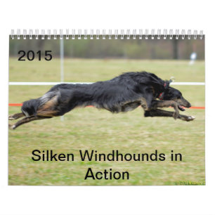 Calendrier 2015 Windhounds de soie dans l'action