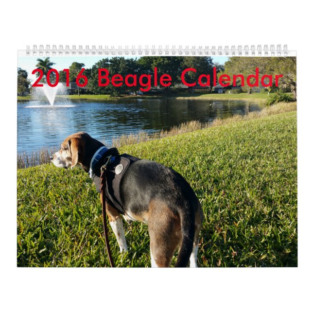 Calendrier 2016 de beagle (Protection)