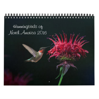 Calendrier 2016 de colibri