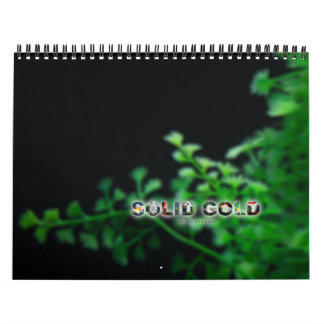 Calendrier 2016 de poisson rouge d'OR MASSIF de