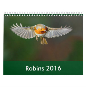 Calendrier 2016 de Robin