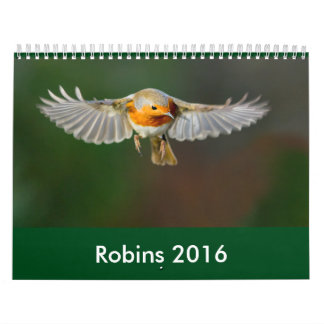 Calendrier 2016 de Robin