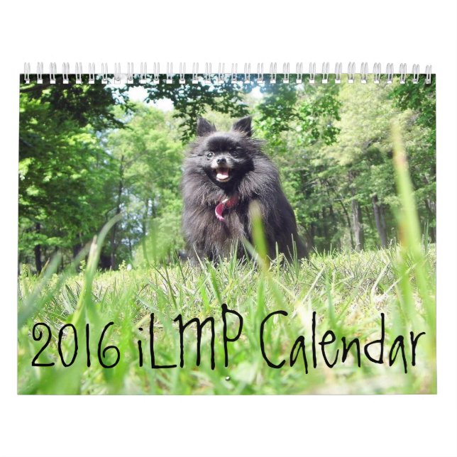 calendrier 2016 d'iLMP (Protection)