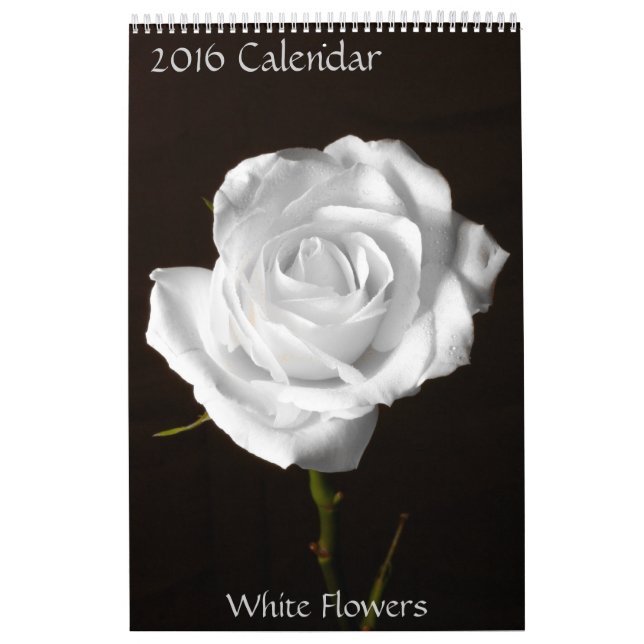Calendrier 2016-Fleurs Blanches Calendrier (Protection)