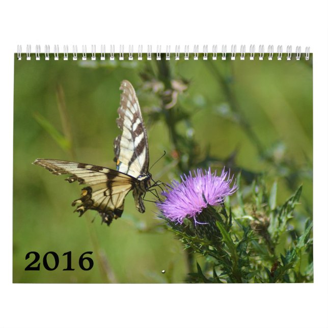 calendrier 2016, papillons et fleurs (Protection)