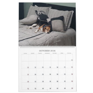 Calendrier 2017 de beagle