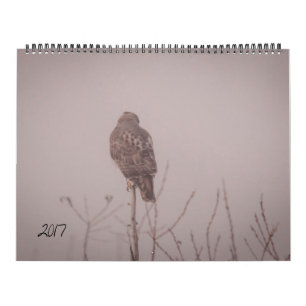 Calendrier 2017 de faune