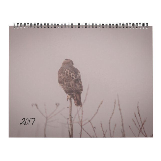 Calendrier 2017 de faune (Protection)