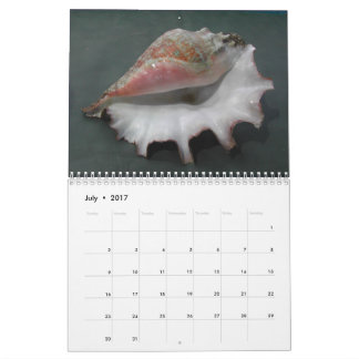 Calendrier 2017 des coquilles