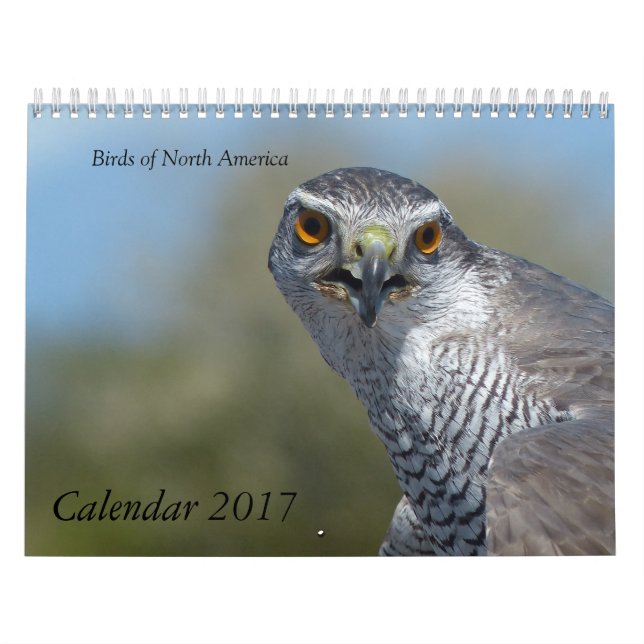 Calendrier 2017 - Oiseaux d'Amérique du Nord (Protection)