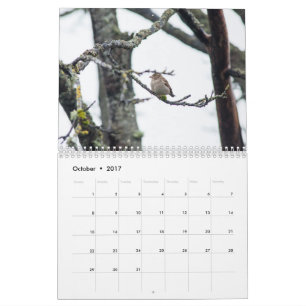 Calendrier 2017 par prélèvement de Barbara
