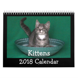 Calendrier 2018 de chaton