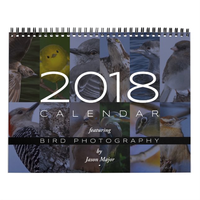 Calendrier 2018 de la photographie d'oiseau (Protection)