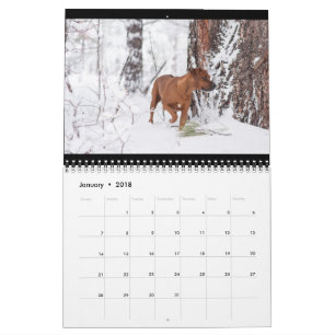 Calendrier 2018 de Rhodesian Ridgeback