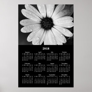 Calendrier 2018 Poster Marguerites Africaines