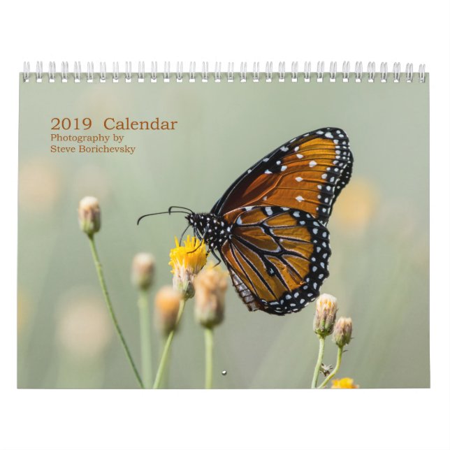 Calendrier 2019 calendrier, photographie par Steve (Protection)
