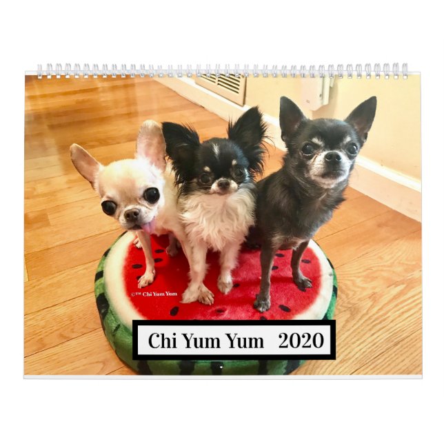Calendrier 2019 de Chi Yum Yum (Protection)