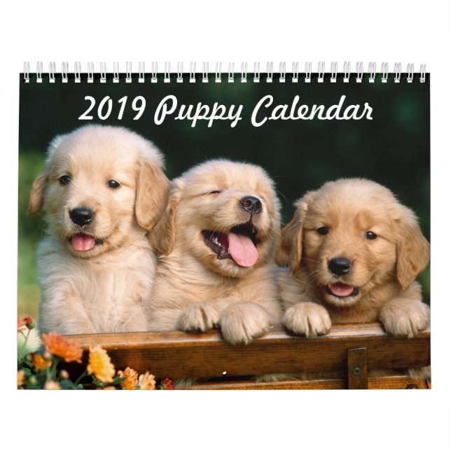 Calendrier 2019 de chiot (Protection)