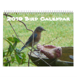 Calendrier 2019 d'oiseau