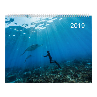 Calendrier 2019 - Sous la surface de l'océan