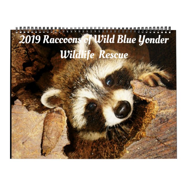 Calendrier 201 Raccoons of Wild Blue Yonder Wildlife Secourt  (Protection)