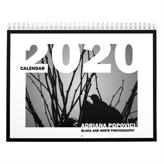 Calendrier 2020 : B&W Fine Art Photographie (Protection)