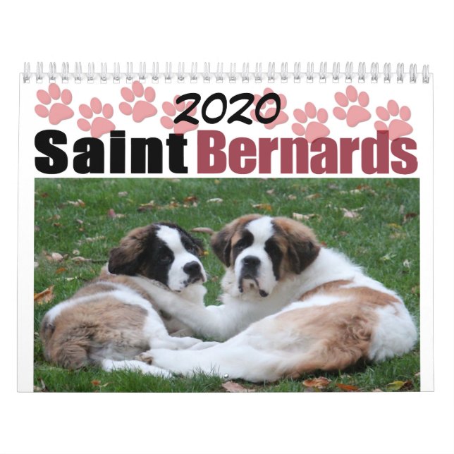 Calendrier 2020 Cute Chien race Saint Bernard Puppy (Protection)