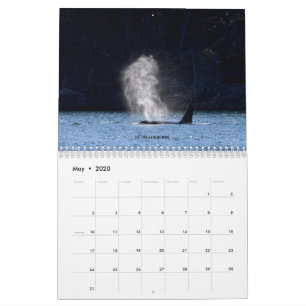 Calendrier 2020 Les Baleines tueuses résidentes d