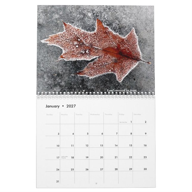 Calendrier 2021 (Jan 2027)