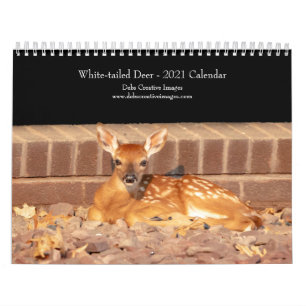 Calendrier 2021 des cerfs à queue blanche