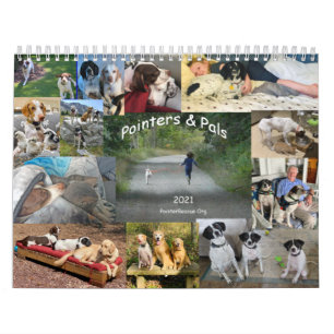Calendrier 2021 des Pointers & Pals par PointerRes