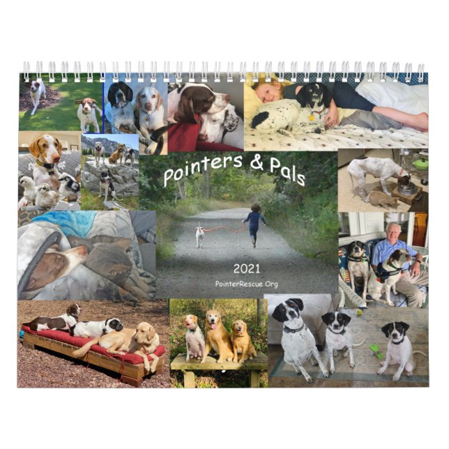 Calendrier 2021 des Pointers & Pals par PointerRes (Protection)