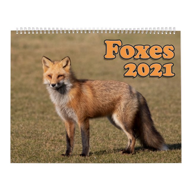 Calendrier 2021 des Renards Rouges (Protection)