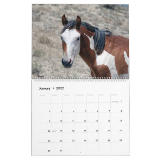 Calendrier 2021 du bassin de lavage de sable