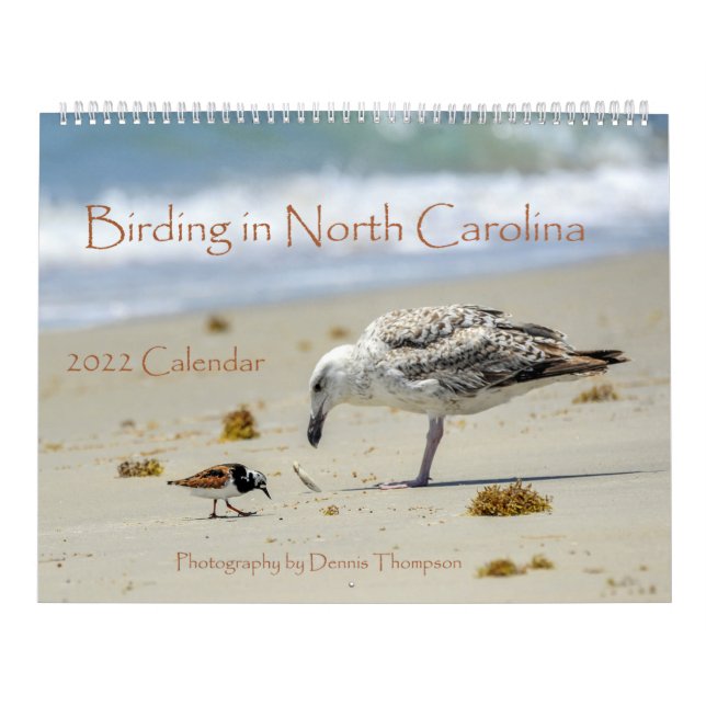 Calendrier 2022 Birding in North Carolina Calendar (Protection)