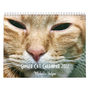 Calendrier 2022 de la muraille de chat Ginger